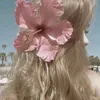 roh_1113