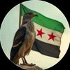 hsein.mhamad0
