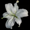 poet0225