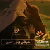 user9543081575501