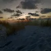 soofjuh2001