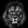 rodrigo_santz