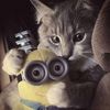 limonsik_lim
