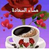 user60692761280477