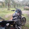 rega.aditia90