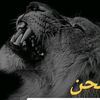user2355166853117