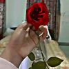 sifat.sifat927