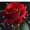 mstsathy82