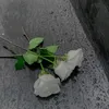 naba2noon