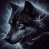 wolfe6095