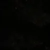 gsmssmsmksk