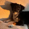 lillyslittleadventures