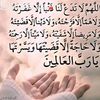 jameela7733