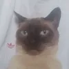 tyeagainagain