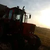 marek.pokorski1