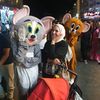 toqa.maher09