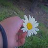 vanepanda16__