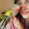 ່