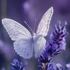 butterfly_lover165