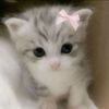 account7banned