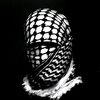 kaderalpha28