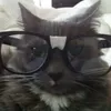 Don Minou