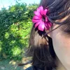 aisha.ali8830