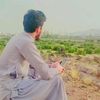 khadim.khan12542