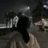 shanenot_found1