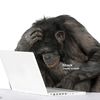 harambe547