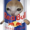 redbulll39_2
