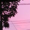 .faif.a