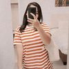 shell_shell071