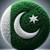 shahnawaz.461971