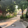 mhctefomaiqe_0
