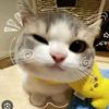 rinimjk