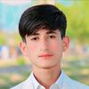 raja.nasir413