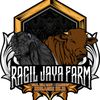 Ragil jaya fram