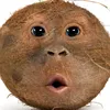 khnhlinhnguyn728