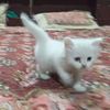 cutemano0124