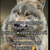 user32459561118162