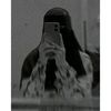 user7134421081758