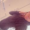 leila_dasilvaq