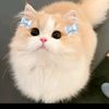 helloimu7
