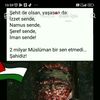 cahit21.2