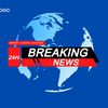 baobao news