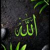 user6346152485567