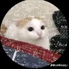 nguoivietcacmy102