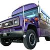 purplebuswill