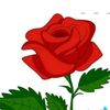 user5194554249881